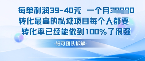 每单利润40一个月7k+转化最高的私域项目，每个人都要的产品转化率已经能做到100%-网创资源库