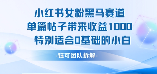 小红书女粉黑马赛道单篇帖子带来收益1k+，特别适合0基础的小白-网创资源库