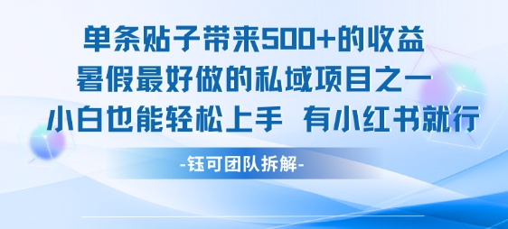 单条贴子带来5张的收益，暑假最好做的私域项目之一，小白也能轻松上手，有小红书就行-网创资源库