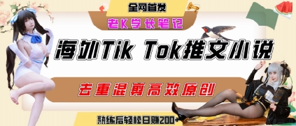 海外tiktok小说推文暴力项目，高停留率，高转化率，上手后一天搞顿饭钱不是问题-网创资源库