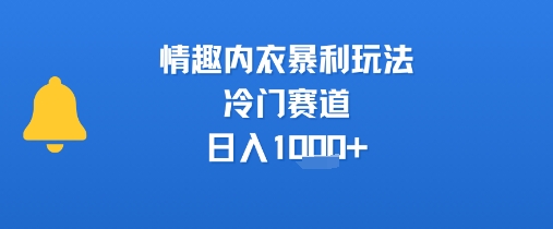 情趣内衣暴利玩法，冷门赛道，日入1k+-网创资源库