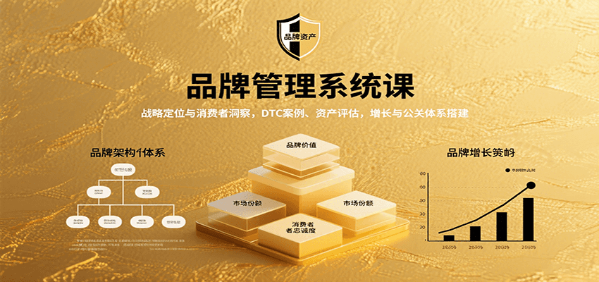 品牌管理系统课：战略定位与消费者洞察，DTC案例、资产评估，增长与公关体系搭建-网创资源库