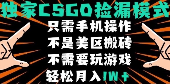 CSGO自动捡漏项目，最新独家玩法，不是美区搬砖，不需要了解和玩游戏，新手小白轻松月入1W+【揭秘】-网创资源库