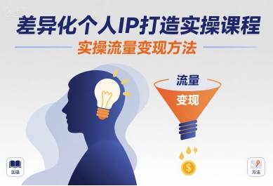 差异化个人IP打造实操课程，实操流量变现方法-网创资源库