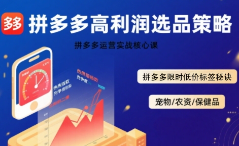 拼多多选品暴利技术实战课，拼多多高利润选品策略，拼多多限时低价标签秘诀-网创资源库