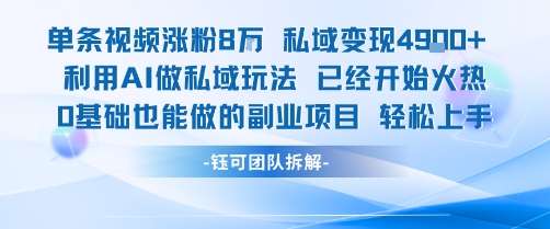 单条视频私域变现4.9k+利用AI做私域玩法 已经开始火热0基础也能做的副业项目轻松上手-网创资源库