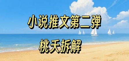 小说推文项目操作全流程第二弹，0粉就能做，门槛低非常适合新手-网创资源库