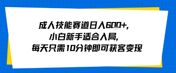成人技能赛道日入多张，小白新手适合入局，每天只需10分钟即可获客变现-网创资源库