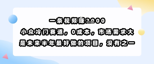 一条视频挣1k，小众冷门赛道，0成本，市场需求大，是未来半年最好做的项目，没有之一-网创资源库