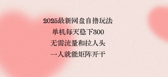 2025最新网盘自撸玩法，单机每天稳下3张，无需流量和拉人头，一个人就可轻松矩阵，全网独一份【揭秘】-网创资源库