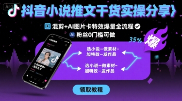 抖音小说推文干货实操分享，混剪+AI图片卡特效爆量全流程，0粉丝0门槛可做-网创资源库