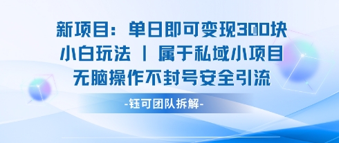 新项目单日即可变现3张的小白玩法无脑操作不封号安全引流-网创资源库