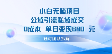 小白无脑项目公域引流私域成交0成本单日变现680米-网创资源库