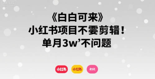 小白可来 小红书项目不需要剪辑 单月3w不是问题-网创资源库