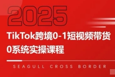 TikTok跨境0-1短视频带货，系统拆解TikTok跨境带货全链路，实现跨境可持续盈利-网创资源库