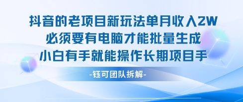 老项目新玩法单月收入2W小白有手就能操作长期项目-网创资源库