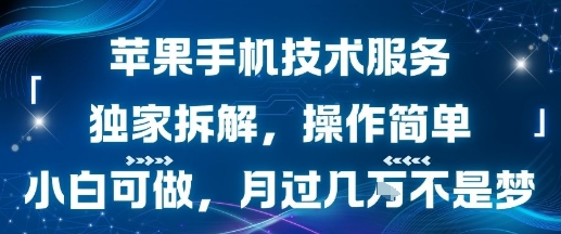 苹果手机技术服务，独家拆解，操作简单，小白可做，月过1W不是梦-网创资源库
