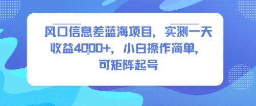 风口信息差蓝海项目，实测一天收益4k+，小白操作简单，可矩阵起号-网创资源库