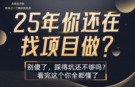 25年，你还在疯狂的找项目吗？别傻了，看完这个你都懂了【揭秘】-网创资源库