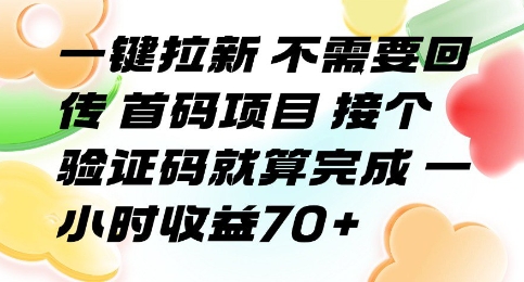 一键拉新 不需要回传 首码项目 接个验证码就算完成 一小时收益70+【揭秘】-网创资源库