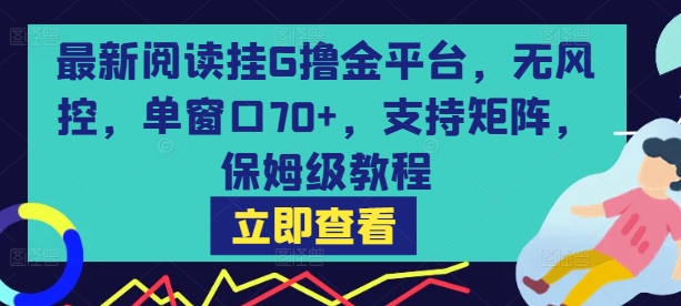 最新阅读挂G撸金平台，无风控，单窗口70+，支持矩阵，保姆级教程【揭秘】-网创资源库