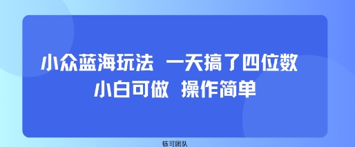小众蓝海玩法 一天搞了四位数 小白可做 操作简单-网创资源库