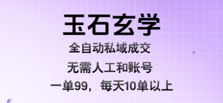 玉石玄学全自动私域成交，一单99每天十单以上，无需人工和矩阵账号，蓝海项目直接干【揭秘】-网创资源库