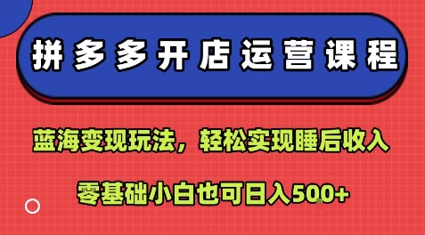 拼多多开店运营课程：蓝海变现玩法，轻松实现睡后收入，零基础小白也可日入5张-网创资源库