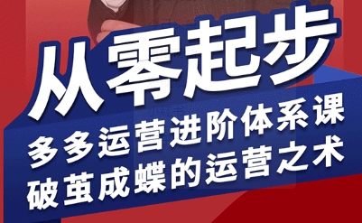 拼多多运营进阶系统课，从零起步，多多运营进阶体系课，破茧成蝶的运营之术-网创资源库