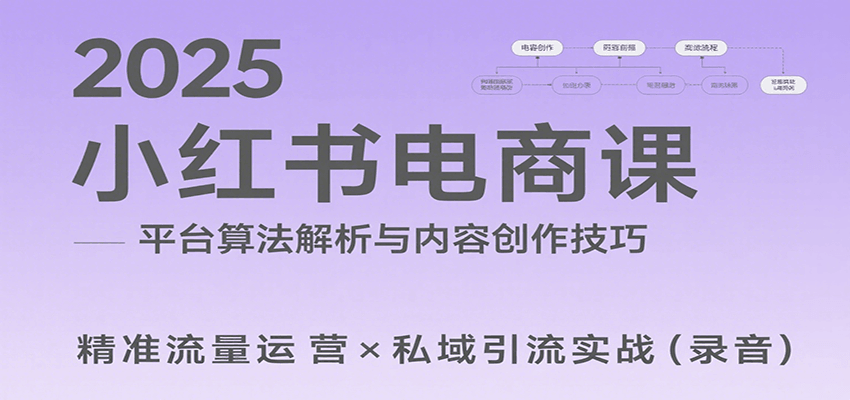 2025小红书电商课：解析算法，创作高转化内容，助力卖家获取流量实现变现（录音）-网创资源库