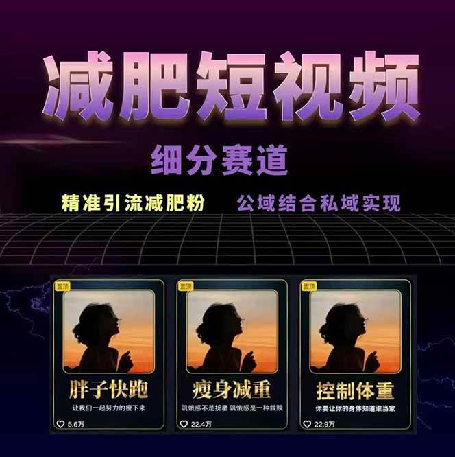 图片[2]-减肥短视频运营实战课：含素材制作、剪映教学，讲精准引流、变现设计与内容模板技巧-网创资源库