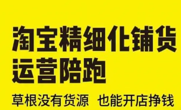 《淘宝精细化铺货运营陪跑》草根没有货源 也能开店挣钱-网创资源库