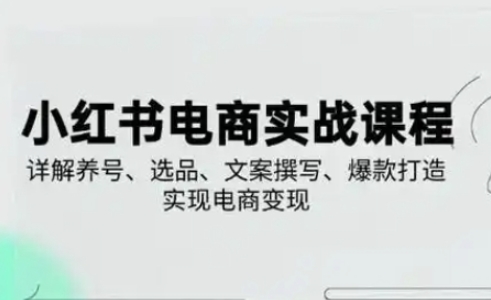 小红书从0-1实操课(2023-2025)，详解养号、选品、文案撰写、爆款打造实现电商变现-网创资源库