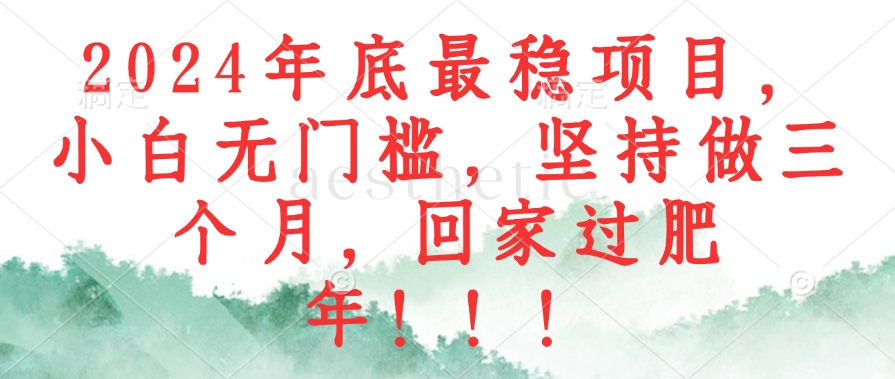 （12970期）2024年底最稳项目，小白无门槛，坚持做三个月，回家过肥年！！！-网创资源库