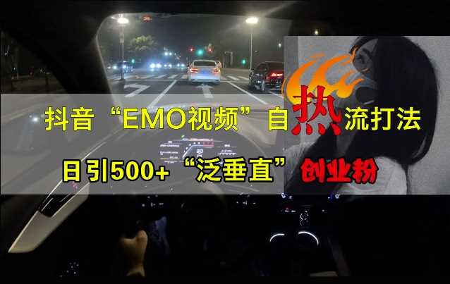 抖音EMO视频自热打法，日引500+“泛垂直”创业粉-网创资源库