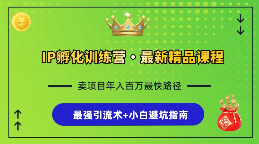 （13055期）IP孵化训练营，知识付费全流程+最强引流术+小白避坑指南-网创资源库