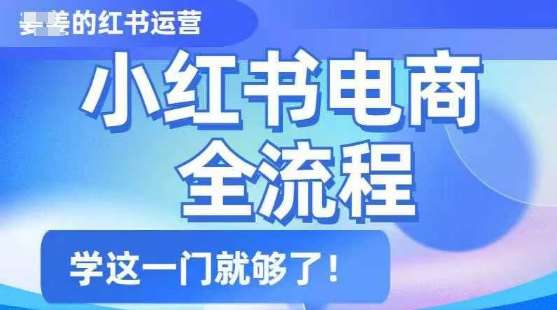 小红书电商全流程，精简易懂，从入门到精通，学这一门就够了-网创资源库