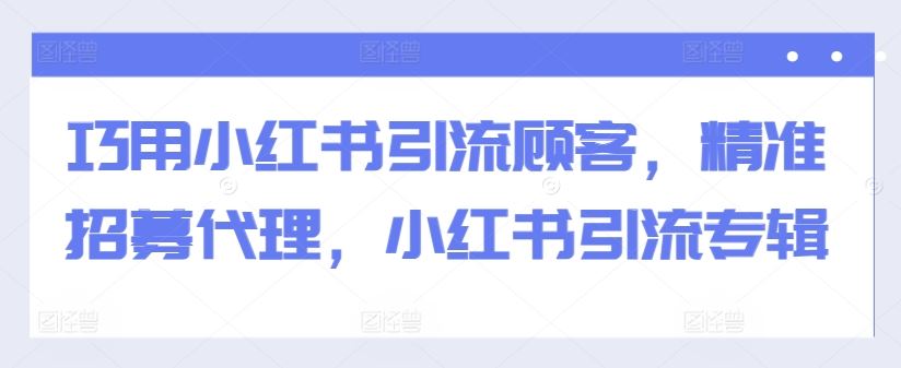 巧用小红书引流顾客，精准招募代理，小红书引流专辑-网创资源库
