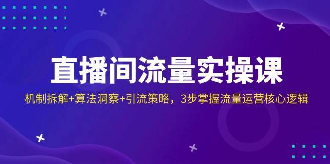 直播间流量实操课：机制拆解+算法洞察+引流策略，3步掌握流量运营核心逻辑-网创资源库