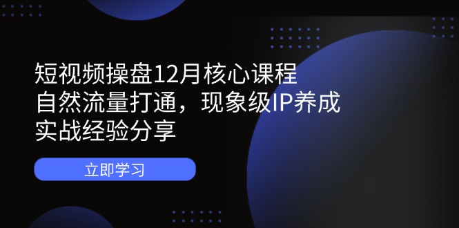 短视频操盘12月核心课程：自然流量打通，现象级IP养成，实战经验分享-网创资源库
