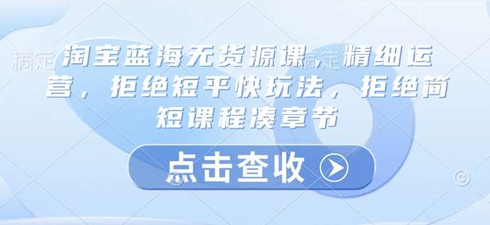 淘宝蓝海无货源课，精细运营，拒绝短平快玩法，拒绝简短课程凑章节-网创资源库