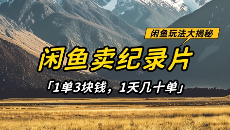 闲鱼卖纪录片1单3块钱，1天几十单，项目稳定有潜力-网创资源库
