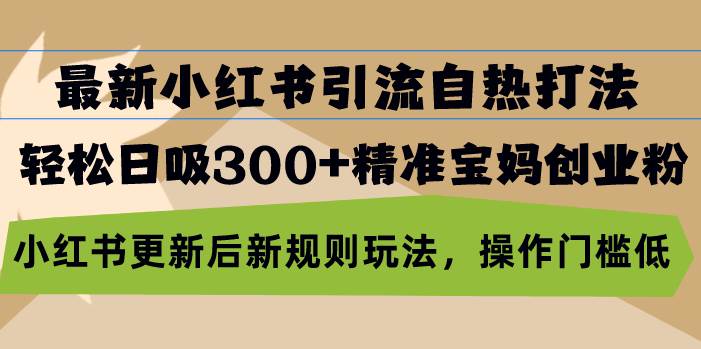 （13145期）最新小红书引流自热打法，轻松日吸300+精准宝妈创业粉，小红书更新后新…-网创资源库